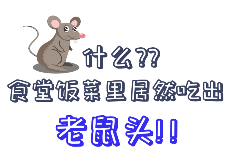 公共食堂又爆雷！饭菜吃出老鼠头？？看看球盟会(中国)新材怎么做......